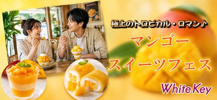 パーティーID:4486574の画像