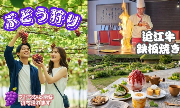 パーティーID:4486721の画像