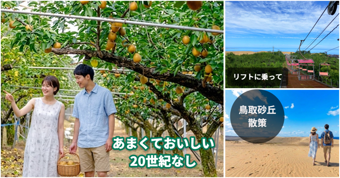 パーティーID:4486738の画像