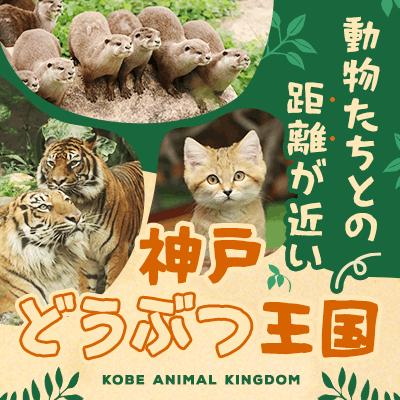 パーティーID:4487071の画像