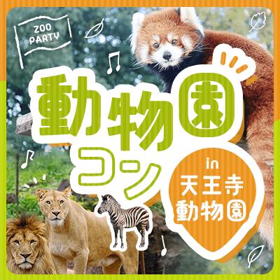 パーティーID:4487109の画像