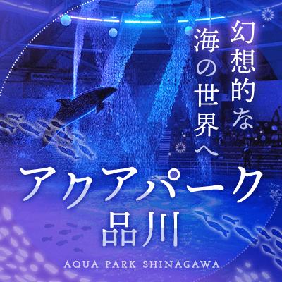 パーティーID:4487371の画像