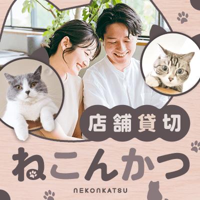 パーティーID:4487390の画像