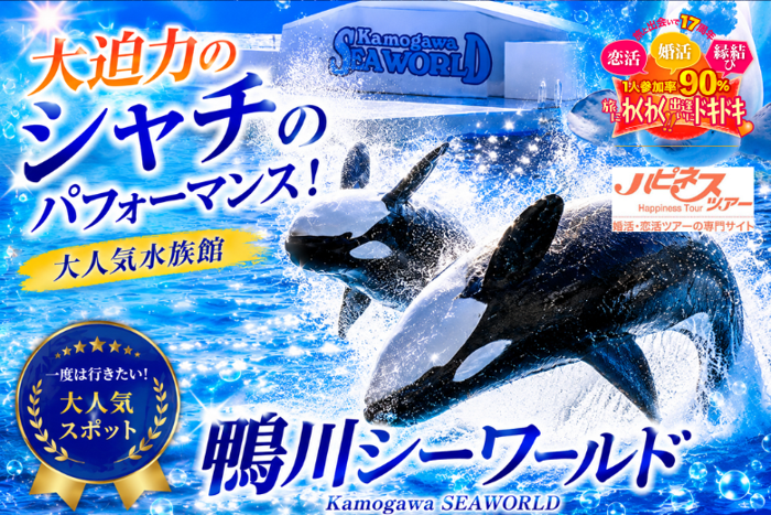 パーティーID:4490063の画像