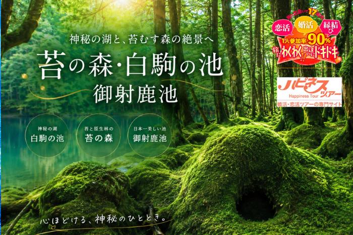 パーティーID:4490069の画像