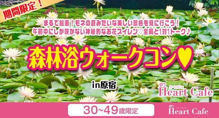 パーティーID:4490546の画像