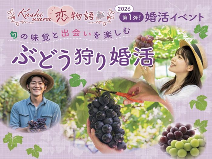 パーティーID:4490825の画像