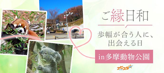パーティーID:4491582の画像