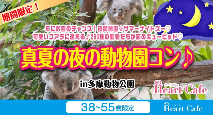 パーティーID:4491902の画像