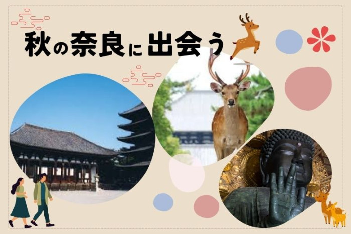 秋の奈良に出会う旅♡ 興福寺＆東大寺ぐるっと散策のイメージ画像