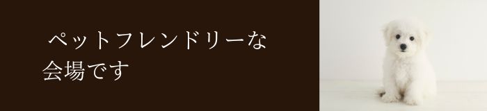 EVERGREEN NIGHT SALON'･*:.｡. .｡.:*･。のイメージ画像