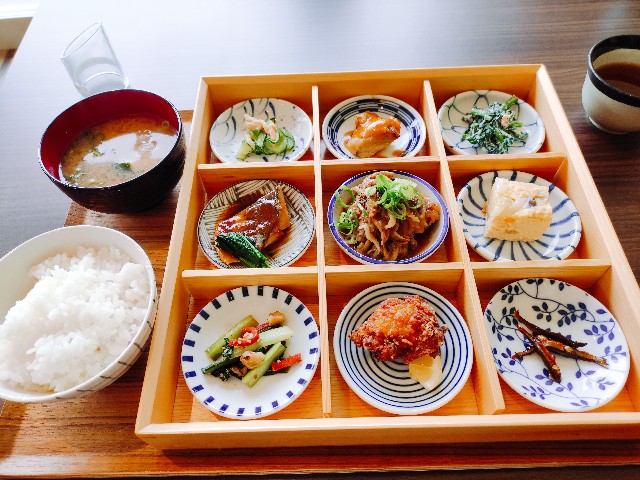 秋だ！びわ湖だ！メタセイヤ並木だ！！のイメージ画像
