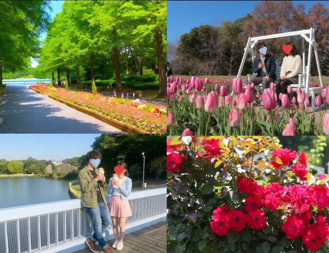 詳細はこちらのイメージ画像