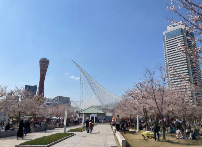 詳細はこちらのイメージ画像