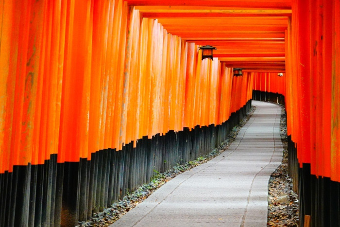 京都初詣！ 世界遺産・平等院と伏見稲荷大社＆漬物ワインパーティーのイメージ画像