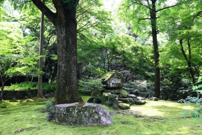 ツアーの見どころのイメージ画像
