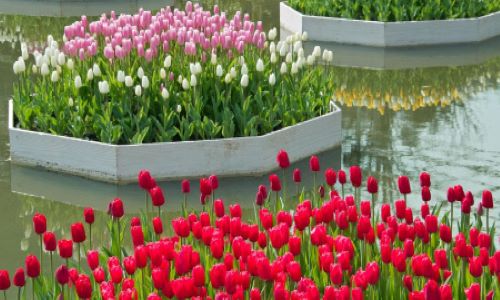 ツアーのポイントのイメージ画像