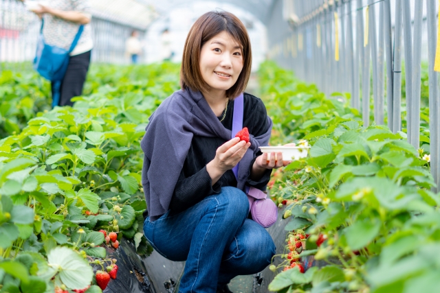 婚活食事会のイメージ画像