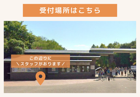 IBJ Matchingの特長のイメージ画像