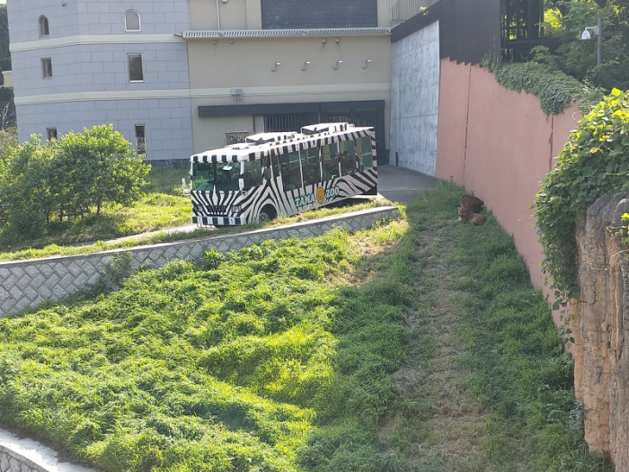 多摩動物公園のイメージ画像