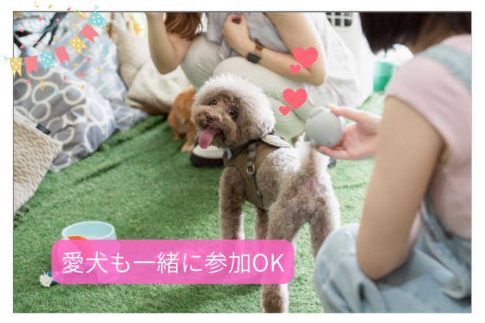 愛犬も参加のイメージ画像