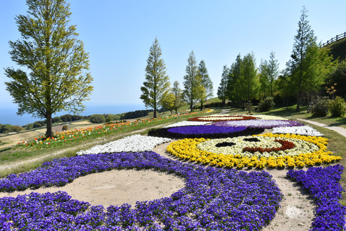 初開催！春だ！あわじ花さじき＆いちご狩りだ！のイメージ画像
