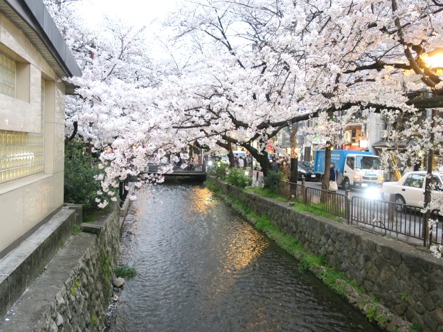 ☆☆☆人気名所の桜を楽しみながら出会える年1回の特別企画☆☆☆のイメージ画像