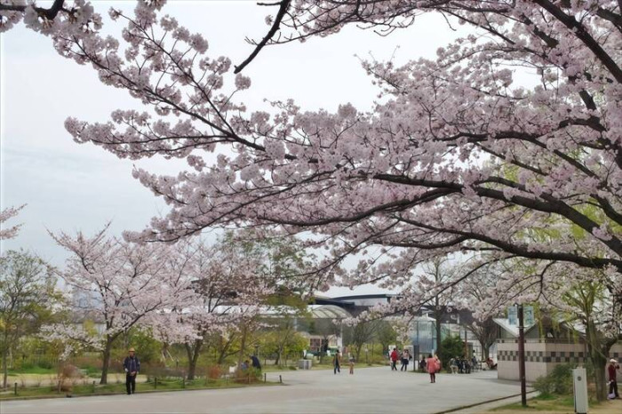 詳細はこちらのイメージ画像