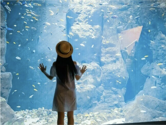 水族館のイメージ画像