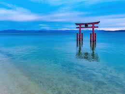 秋だ！びわ湖だ！メタセイヤ並木だ！！のイメージ画像