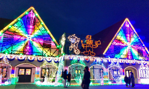 ツアーのポイントのイメージ画像