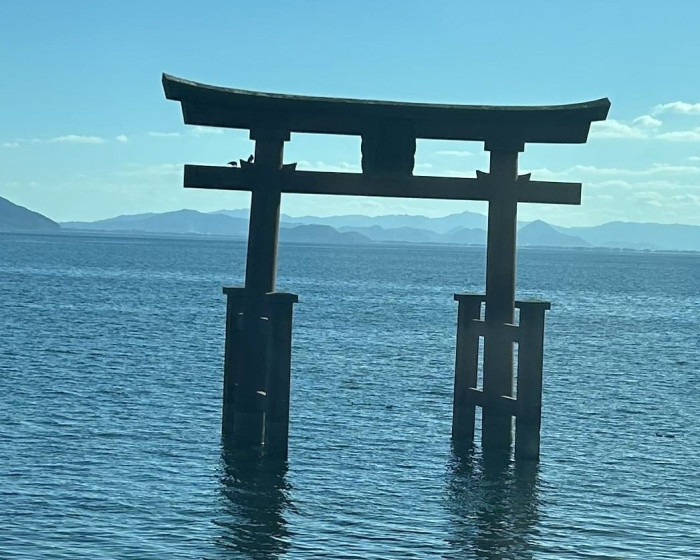 新緑きらめくメタセコイヤ並木とラコリーナの休日のイメージ画像