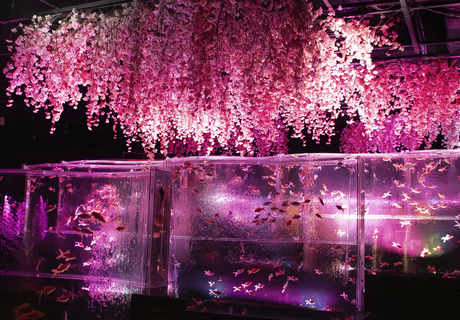 IBJ Matchingの特長のイメージ画像