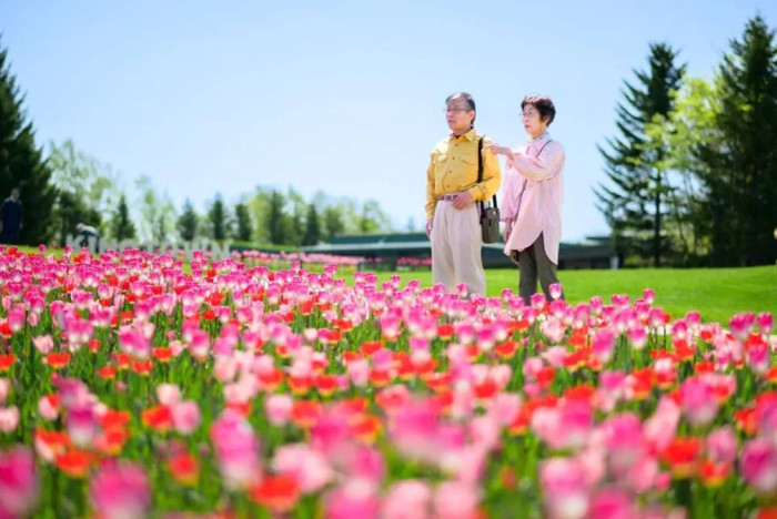 ジェノバのイメージ画像