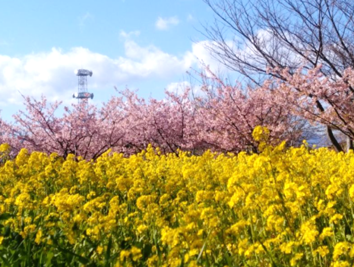 スペシャルイベントについてのイメージ画像