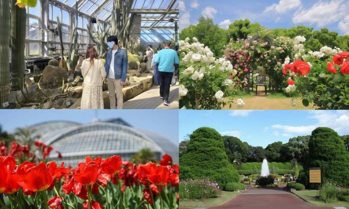 詳細はこちらのイメージ画像