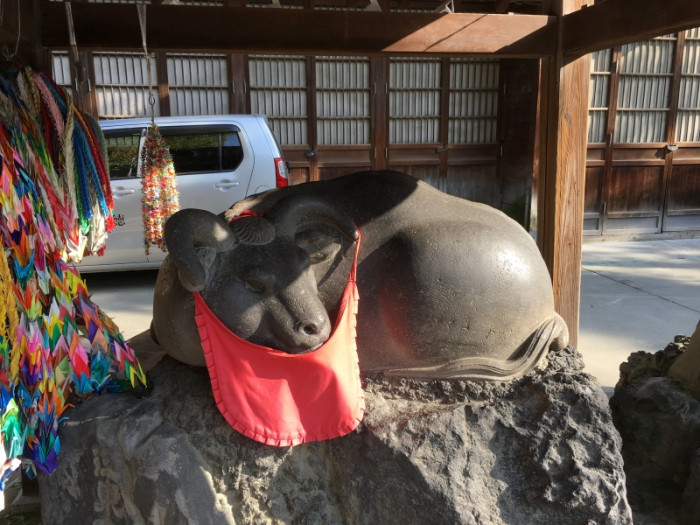 浅草→ｽｶｲﾂﾘｰ散策のイメージ画像