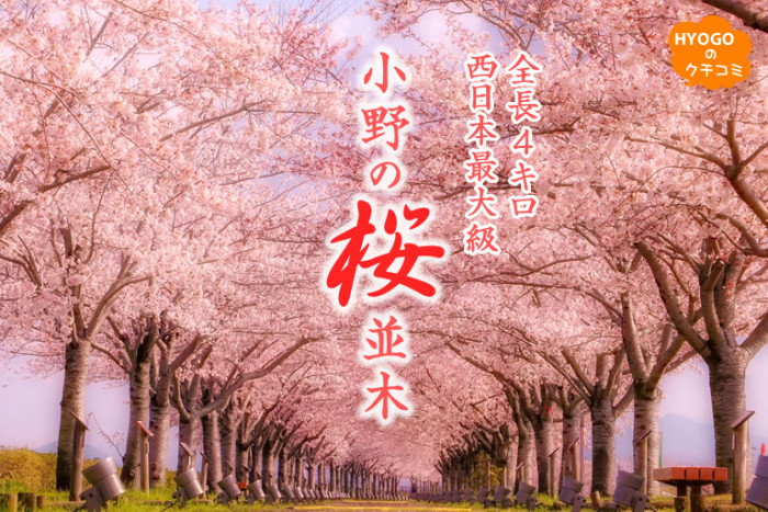 おののイメージ画像