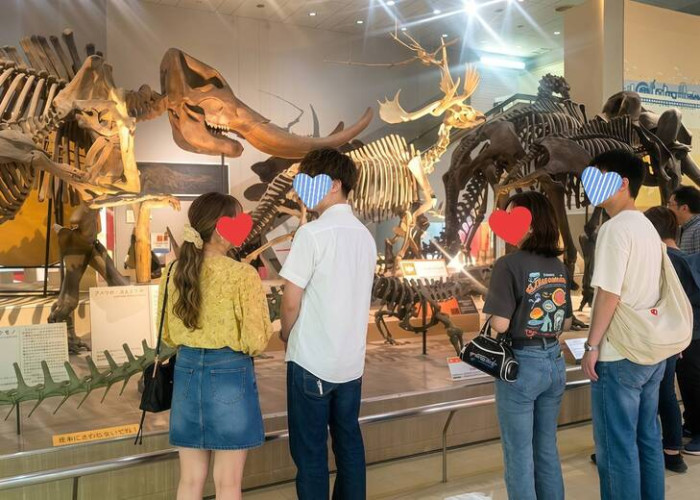 詳細はこちらのイメージ画像