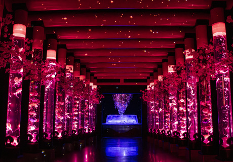 IBJ Matchingの特長のイメージ画像