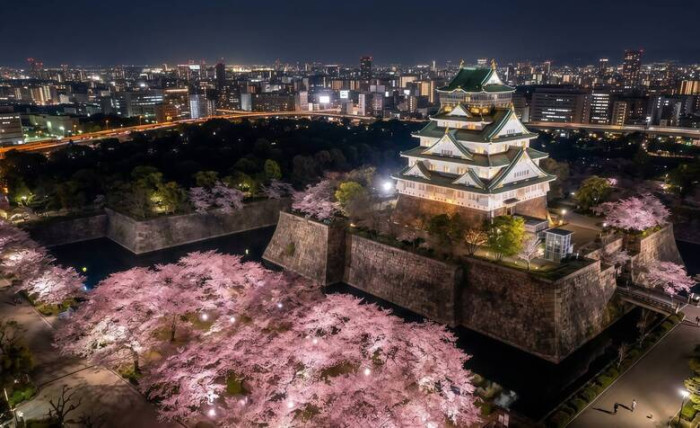 詳細はこちらのイメージ画像