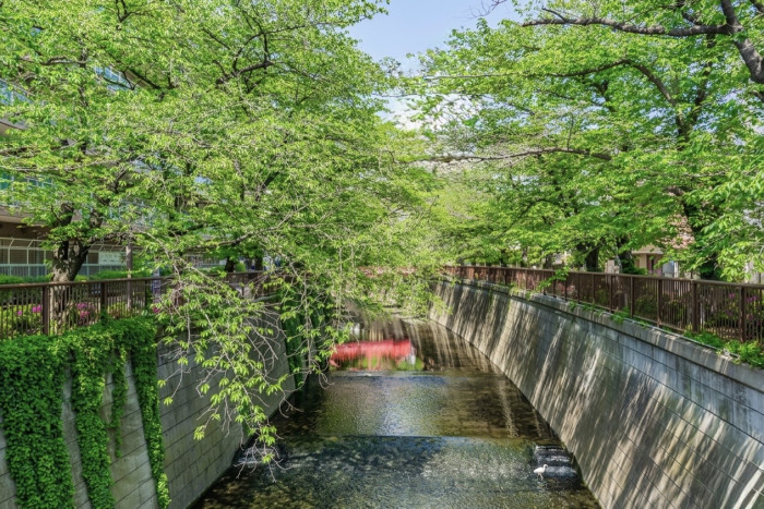 詳細はこちら♡のイメージ画像