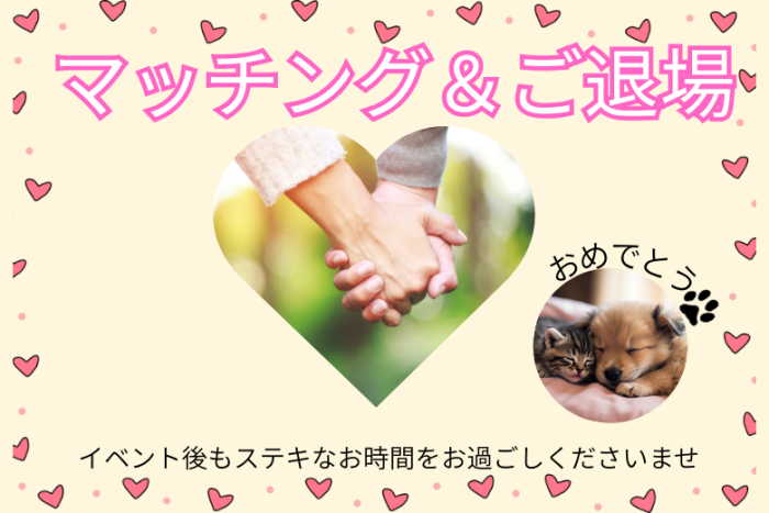 マッチング＆退場のイメージ画像