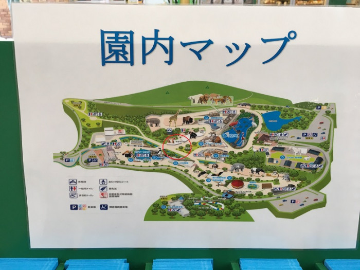 日本平動物園のイメージ画像