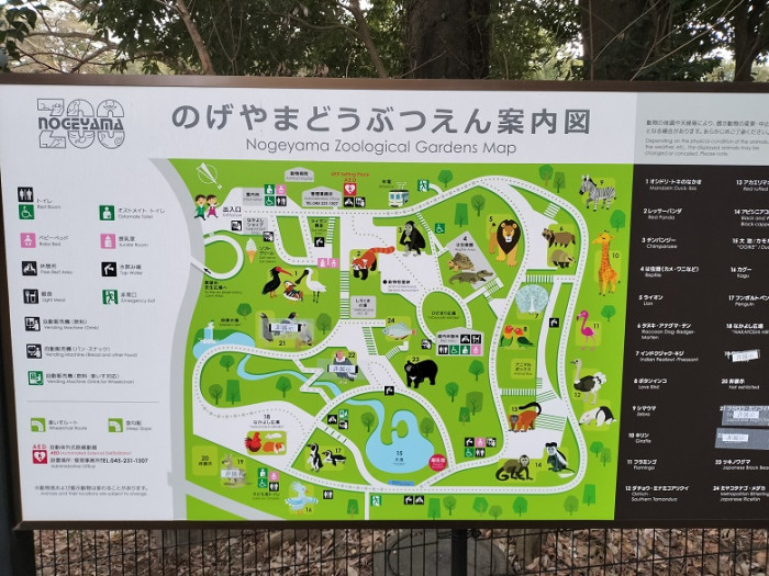 野毛山動物園のイメージ画像