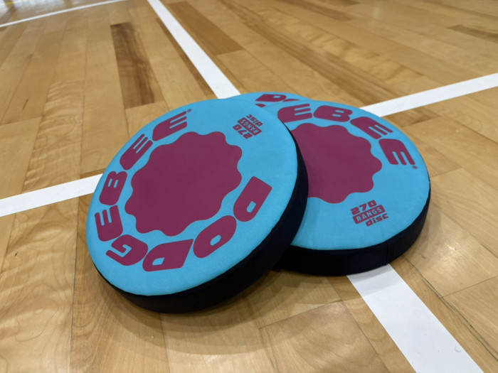 田原市主催｜ドッヂビー スポーツコンのイメージ画像