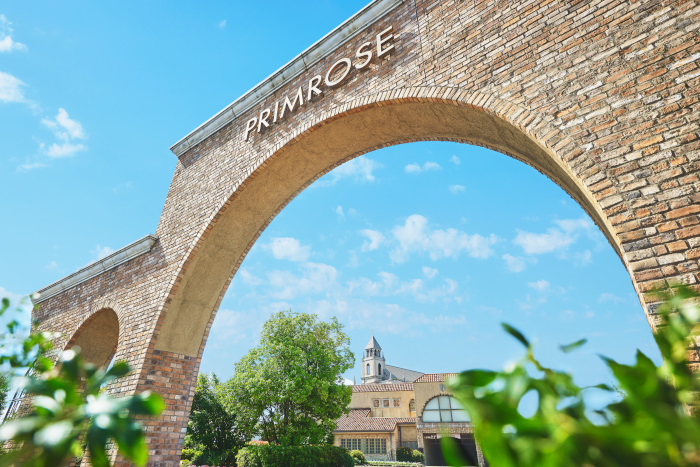 プリムローズ概要のイメージ画像