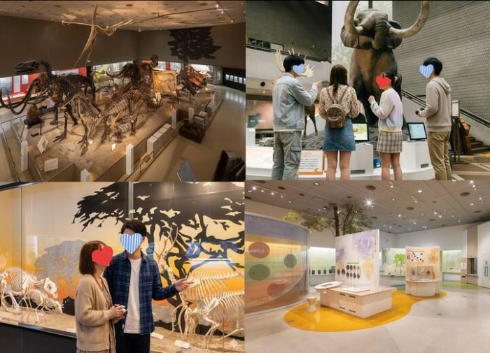 詳細はこちらのイメージ画像