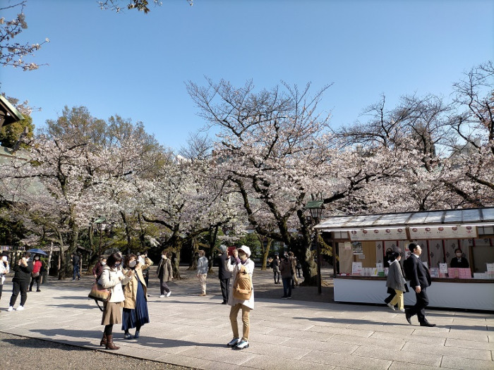 靖国神社→東京大神パワースポット巡りのイメージ画像