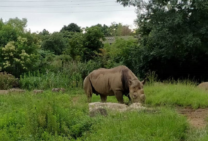 よこはま動物園ズーラシアのイメージ画像